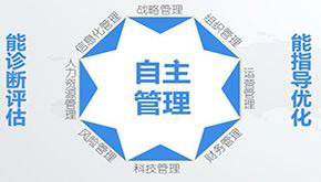 對標(biāo)管理咨詢